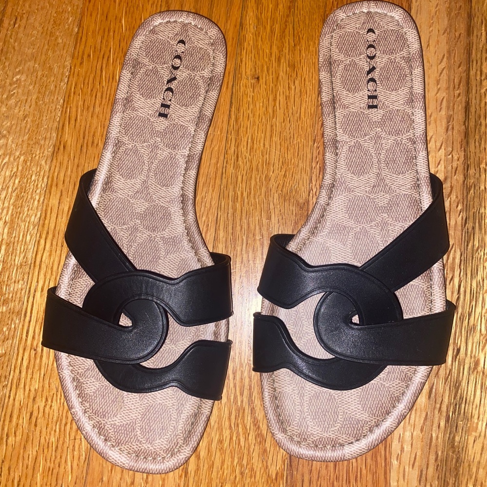 Coach Essie Sandal NWB